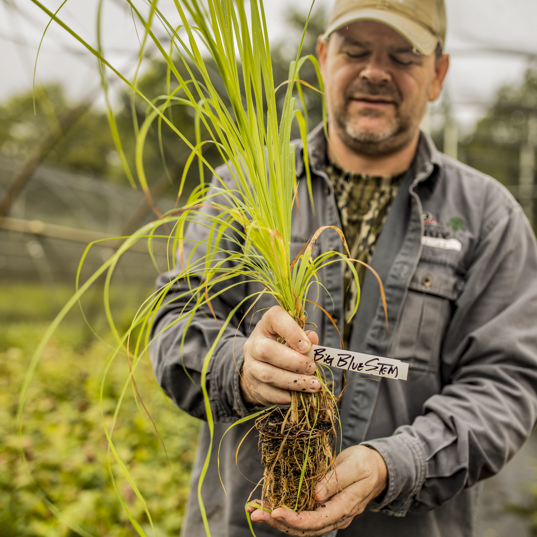 man holds grass plugs