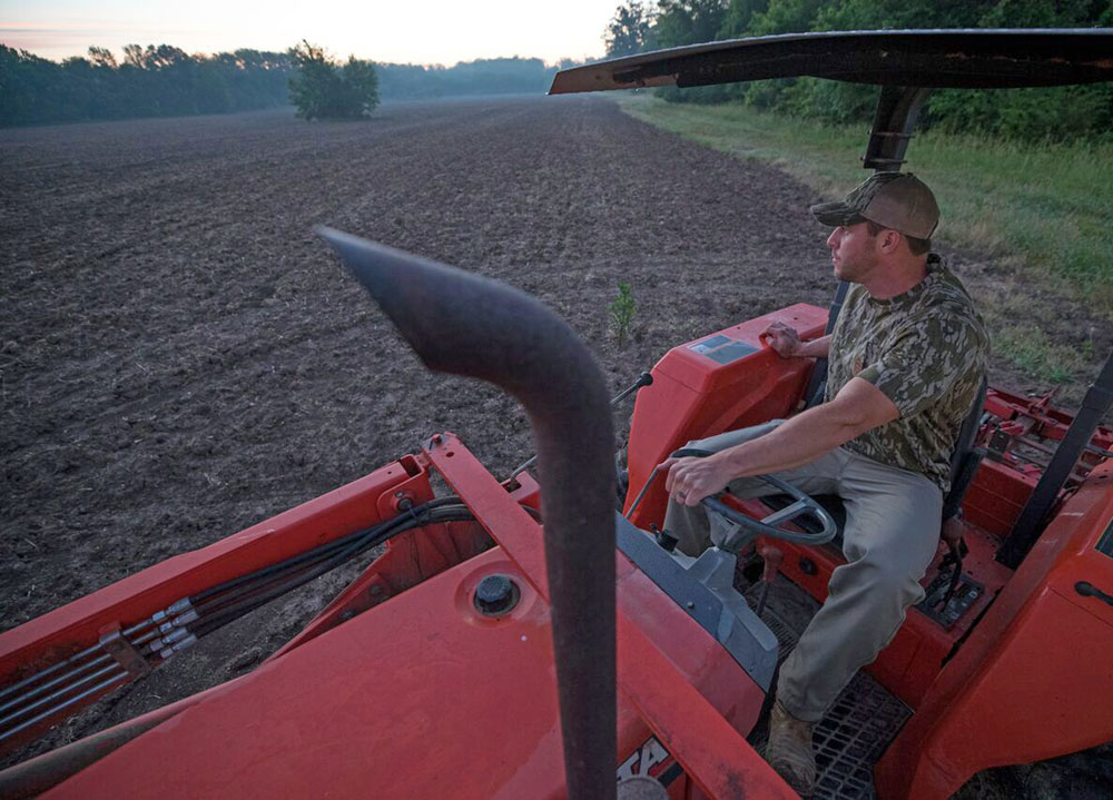 warm season planting Austin Delano