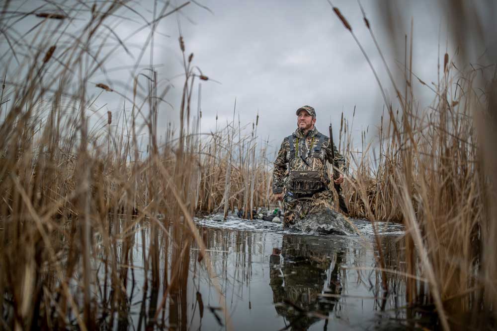 waterfowl in wetlands