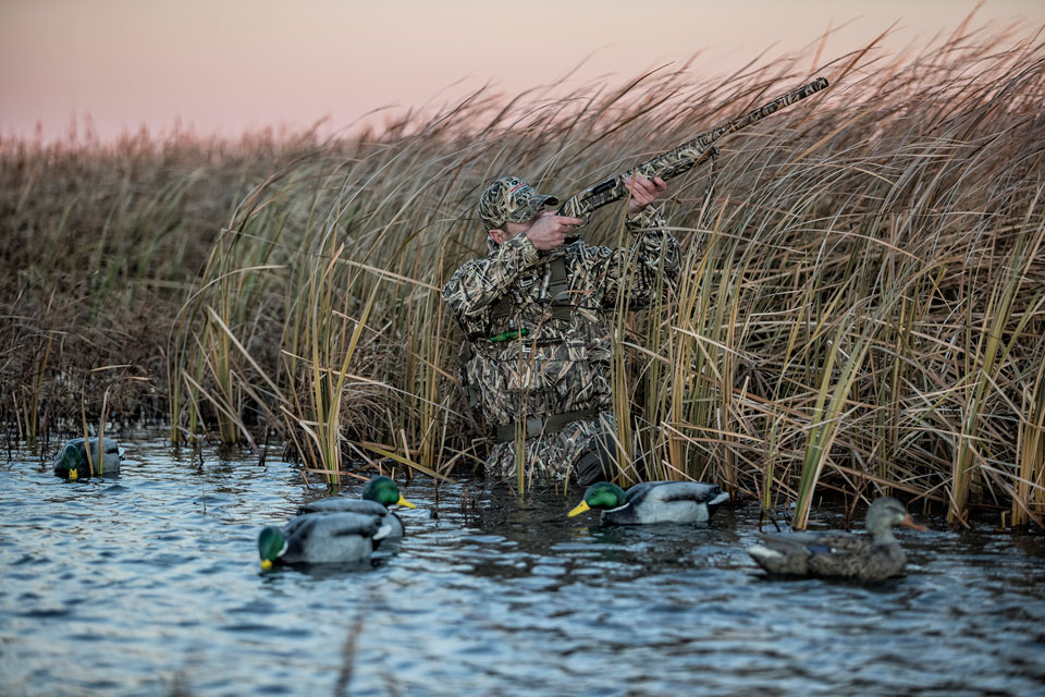 waterfowl shooting tips