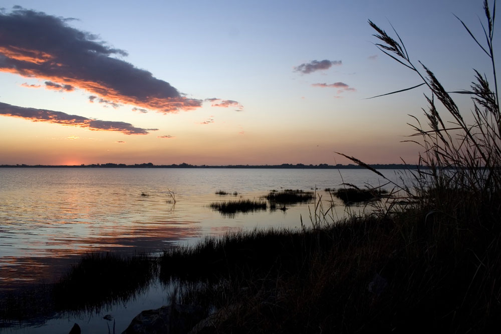 wetlands sunrise