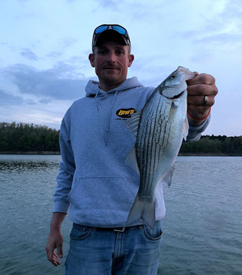 white bass catch