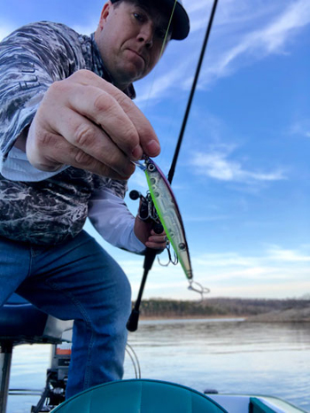 Early Spring White Bass and Striped Bass