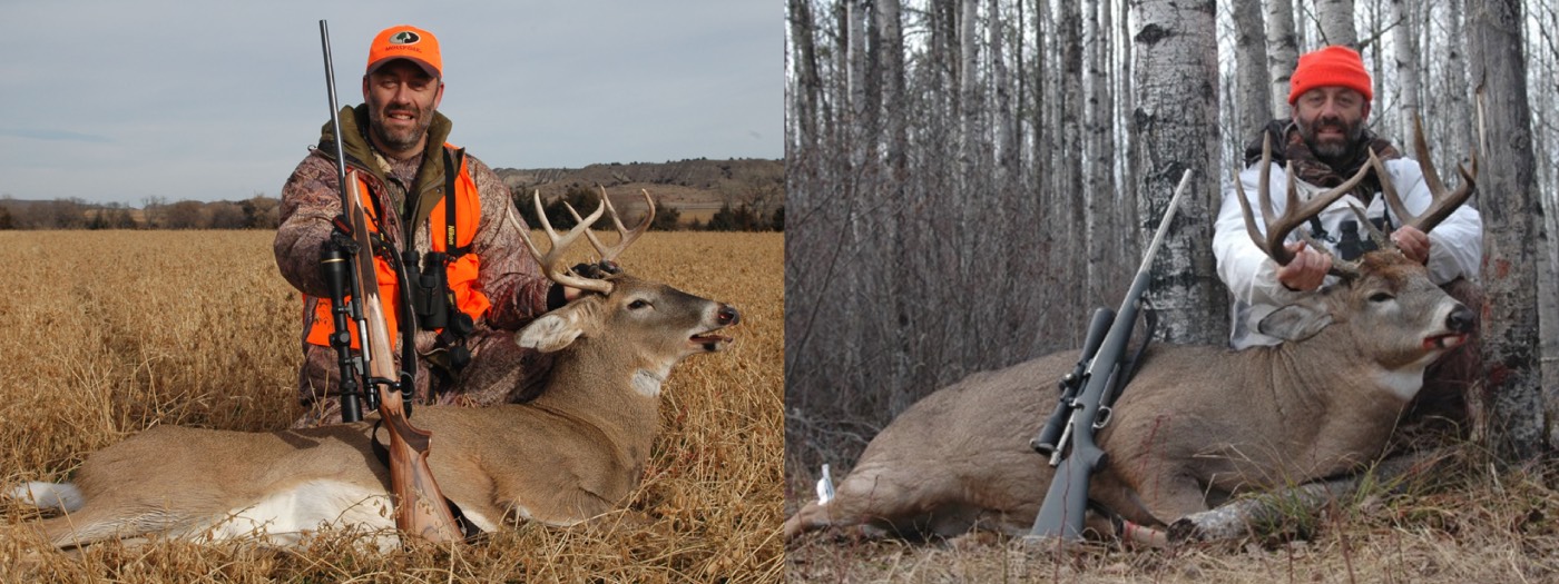 two different deer, one with dark horns, one with light