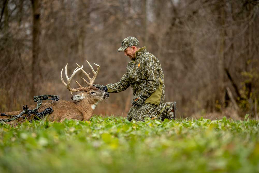 whitetail archery buck