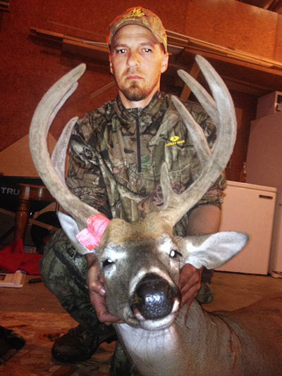 whitetail buck in velvet