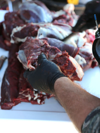 cleaning deer meat