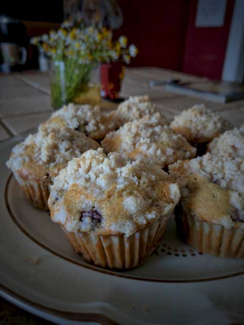 wild raspberry muffins