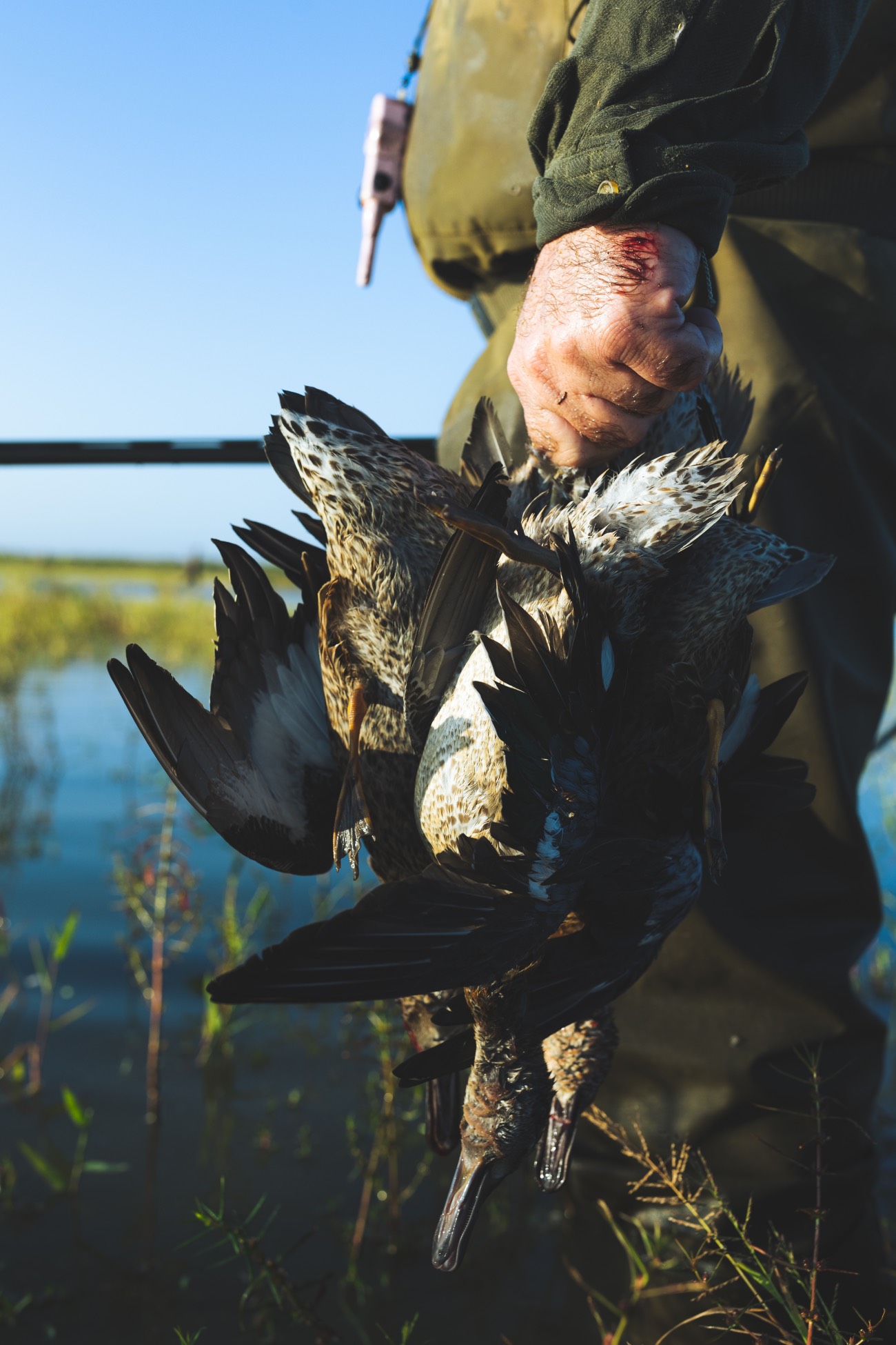 ducks hanging