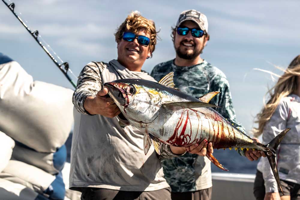 yellowfin tuna