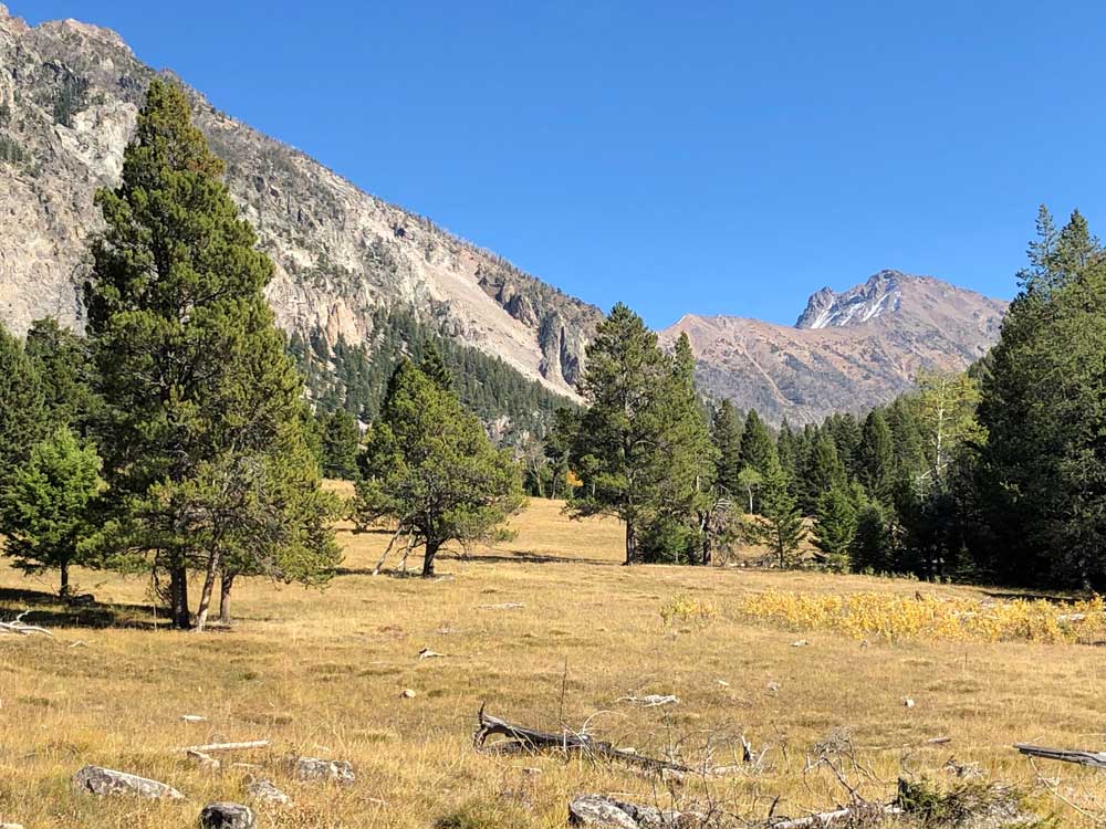 yellowstone mountains