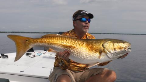 Five Top Lures for Redfish