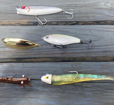 How Greg Hackney chooses between his two favorite soft plastics 