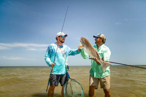 Five Top Lures for Redfish