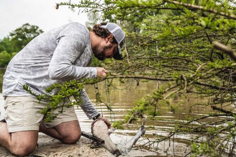 Catfish Pro Blood Worm Catfish Bait Fishing with Rod Reel Trotline Yoyos  Limb Lines Jugs 