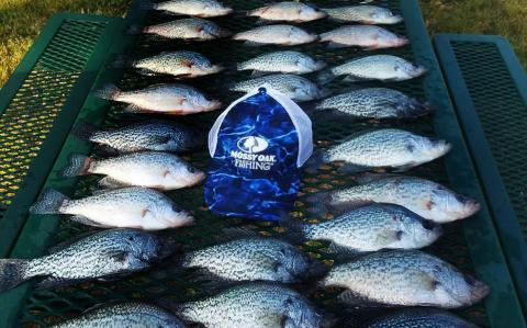 Adams Stays on Top of Eufaula's Wintertime Crappie