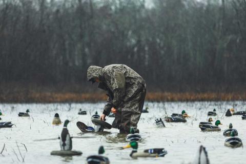 Duck Decoys Setup - Tips for Setting up for Ducks | Mossy Oak