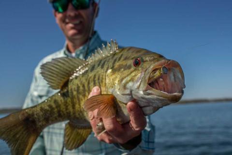 Fishing for Smallmouth Bass in Small Rivers and Streams