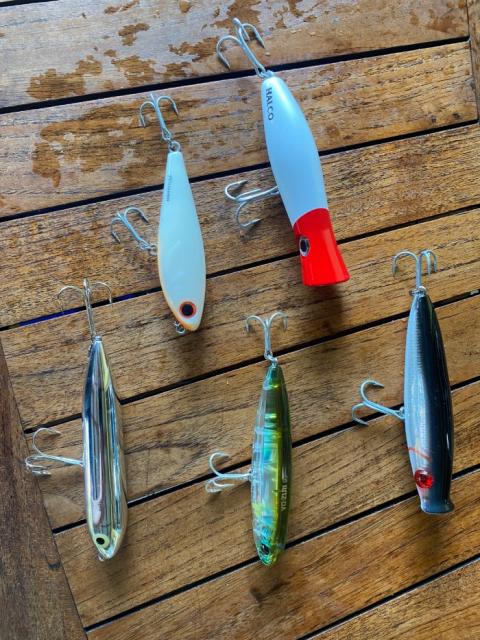 Using Topwater Baits for Speckled Trout Fishing